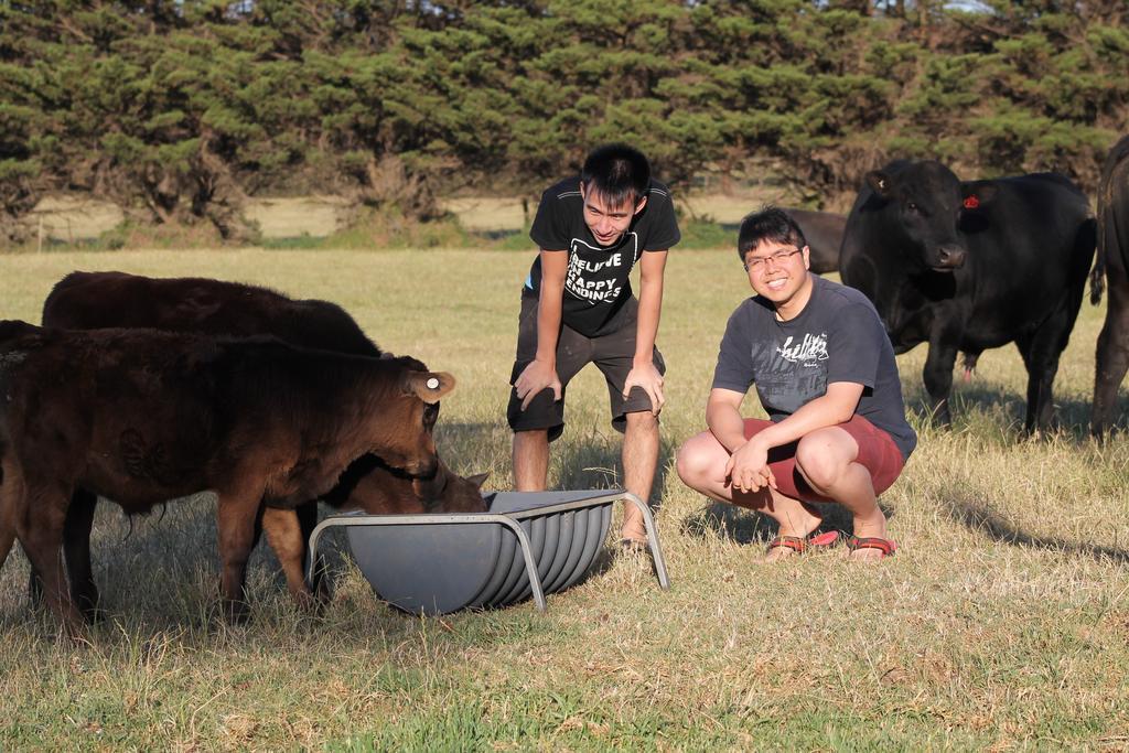 Bimbadeen Phillip Island Farm Retreats Ventnor Екстер'єр фото